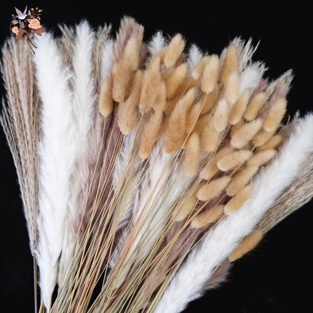 Dried Pampas Bundle - Mixed Natural Dried Flower Bouquet Pampas