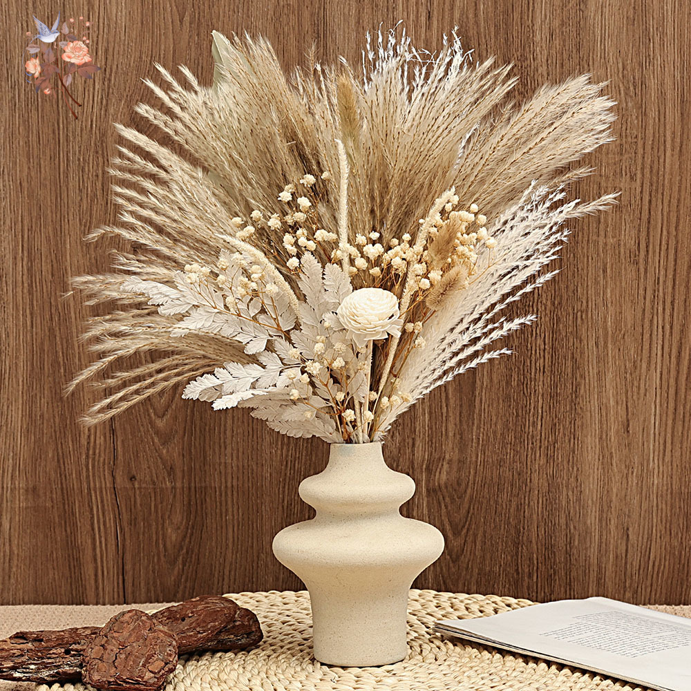 40 Pieces Dried Pampas Reeds P - Dried Pampas Bundle 评论和价格