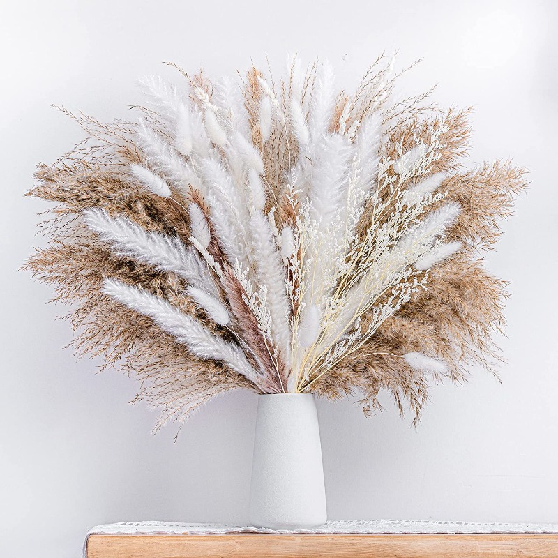 50-105pcs Boho Rustic Mixed Dr - Dried Pampas Bundle 评论和价格