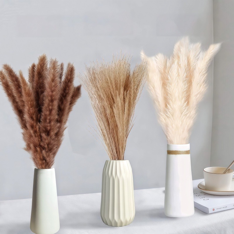 50-105pcs Boho Rustic Mixed Dr - Dried Pampas Bundle 评论和价格
