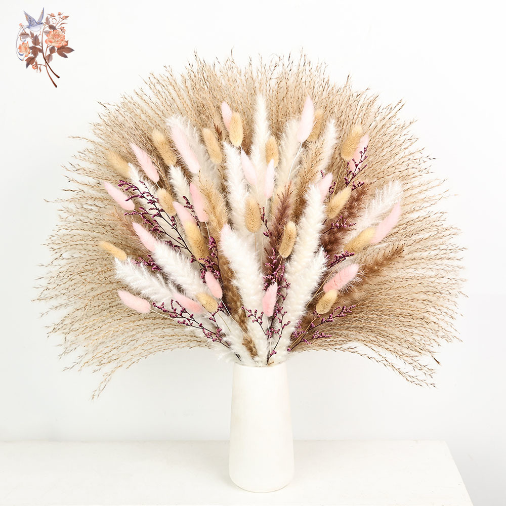 Fluffy Pampas Rabbit Tails Gra - Dried Pampas Bundle 评论和价格