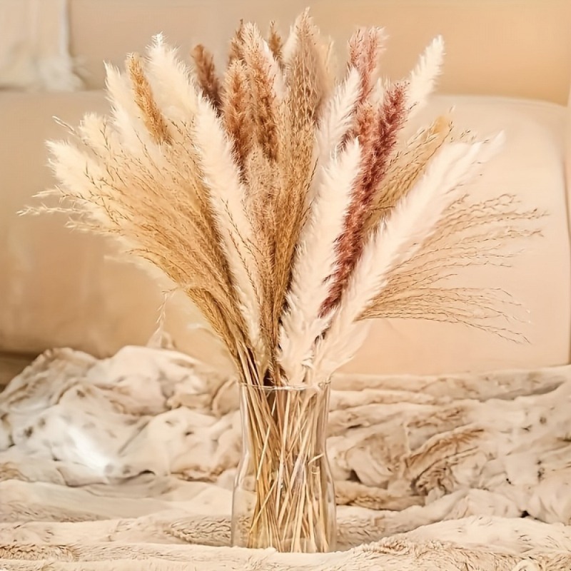 110Pcs Boho Neutral‑tone Mixed - Dried Pampas Bundle 评论和价格