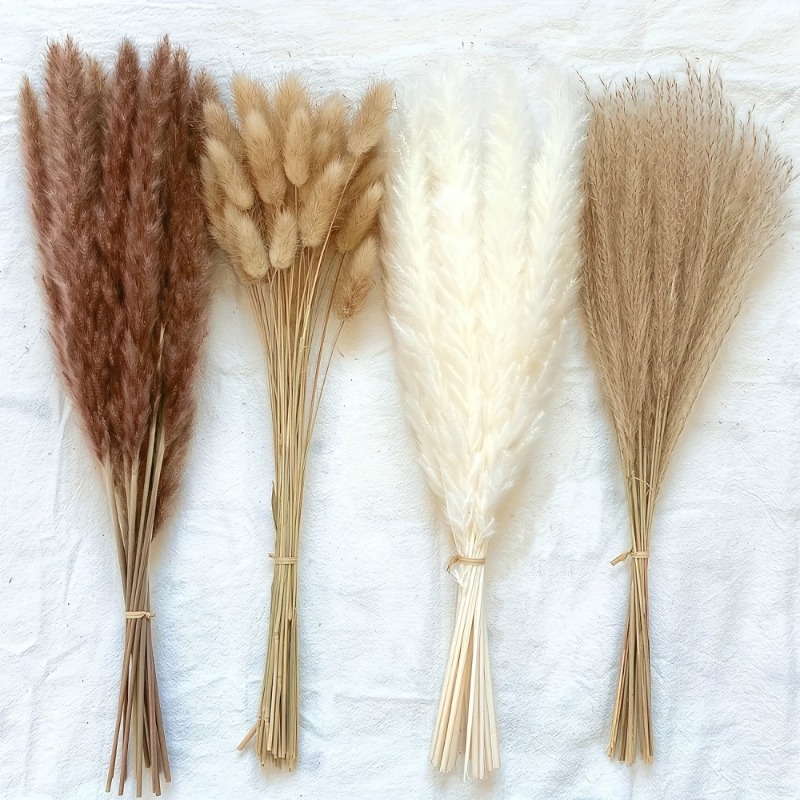 110Pcs Boho Neutral‑tone Mixed - Dried Pampas Bundle 评论和价格