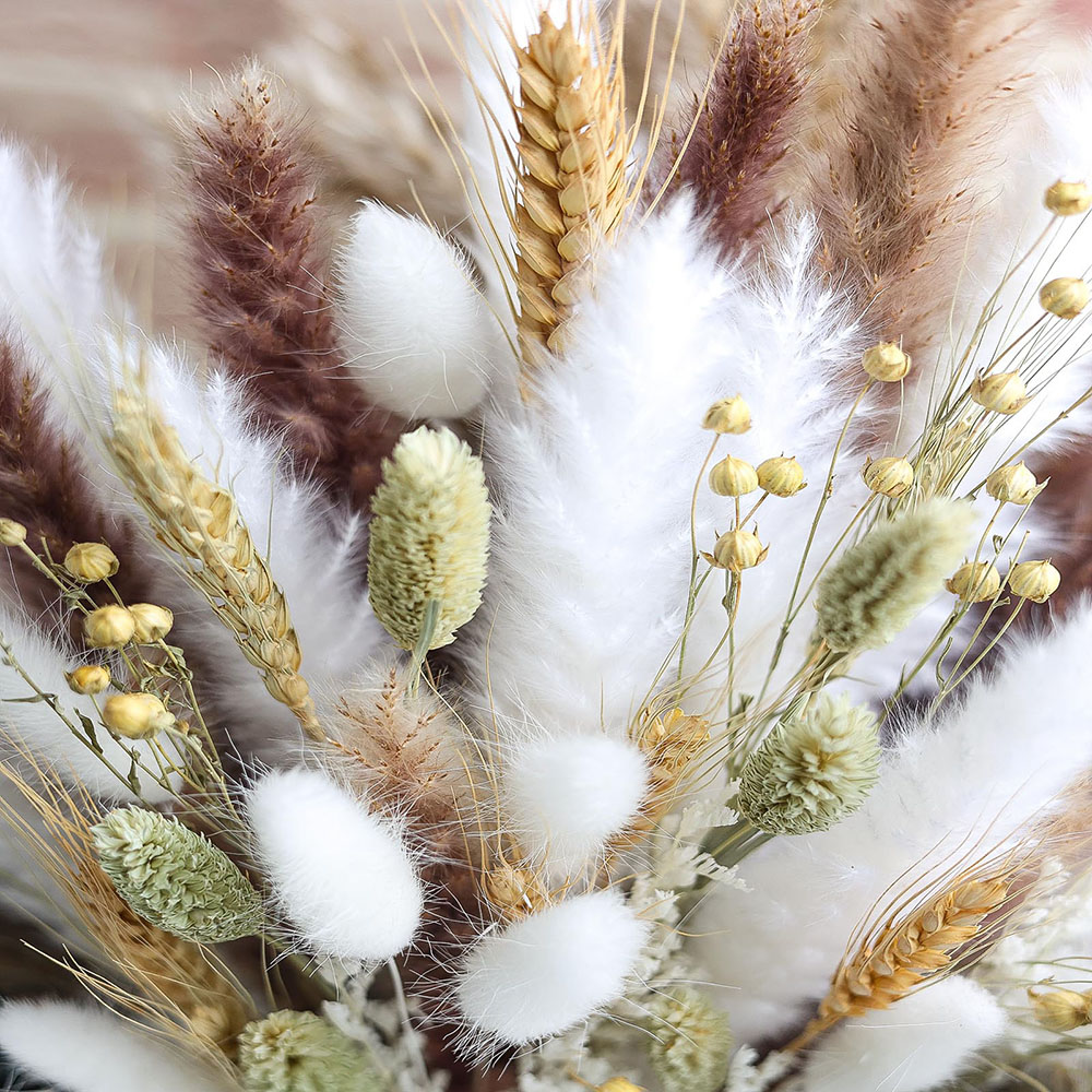 100pcs Dried Pampas Grass Bouq - Dried Pampas Bundle 评论和价格