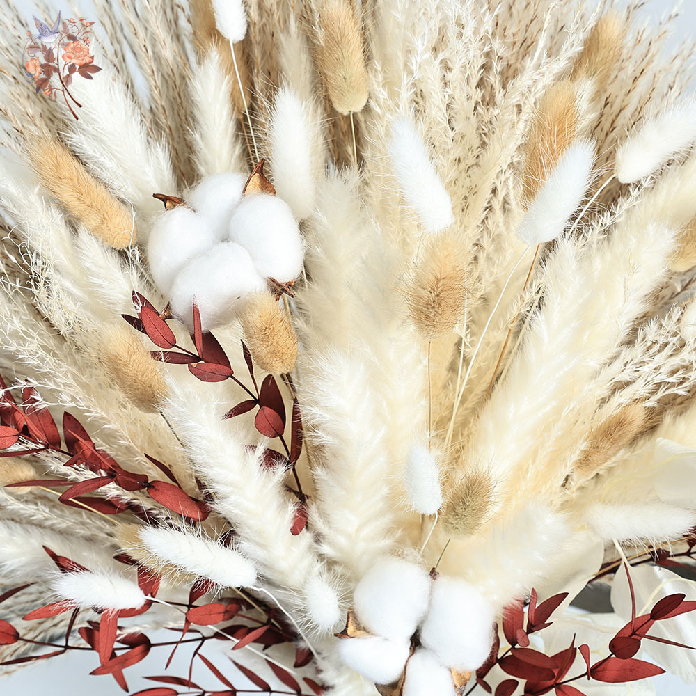 70pcs Dried Pampas Flowers Bou - Dried Pampas Bundle 评论和价格