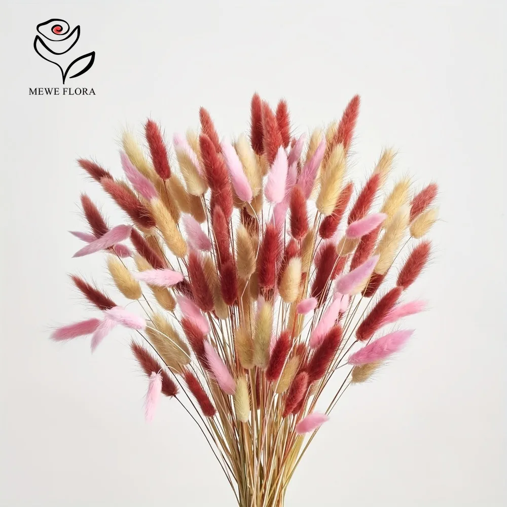 90pcs Mixed 3 Colors Bunny Tai - Dried Pampas Bundle 评论和价格
