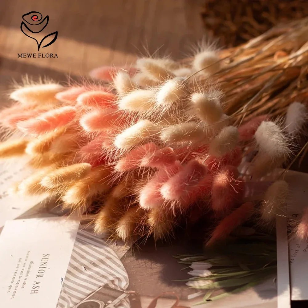 90pcs Mixed 3 Colors Bunny Tai - Dried Pampas Bundle 评论和价格