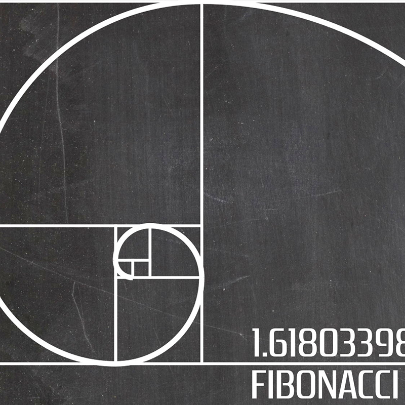 Fibonacci Spiral Patent Wall A - Interior Design Studio 评论和价格