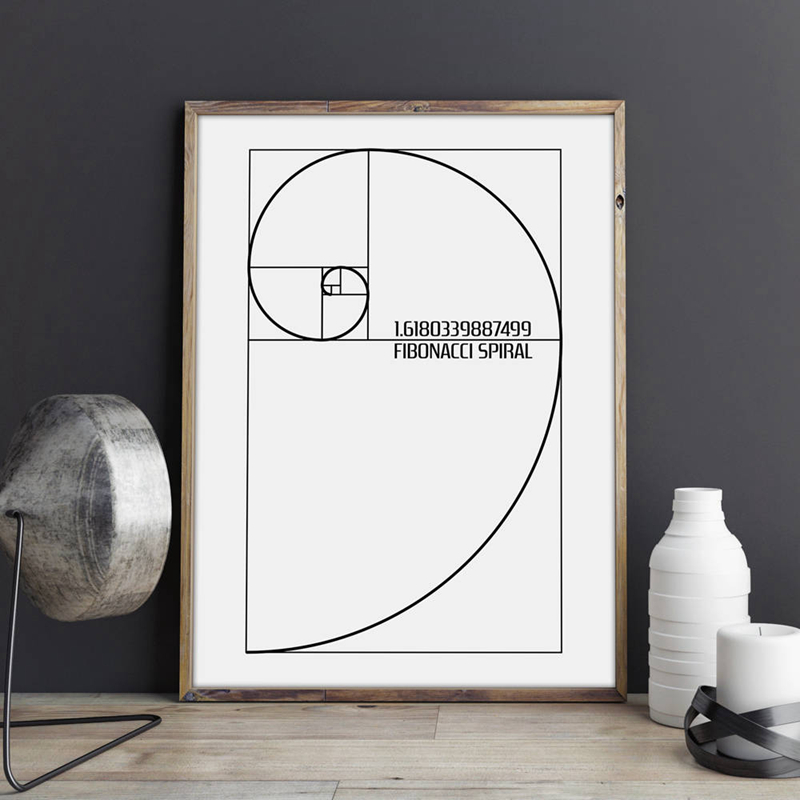Fibonacci Spiral Patent Wall A - Interior Design Studio 评论和价格