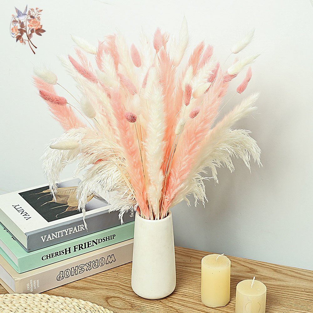 62 Pieces White Reeds Pink Rab - Dried Pampas Bundle 评论和价格