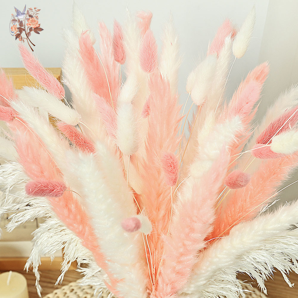 62 Pieces White Reeds Pink Rab - Dried Pampas Bundle 评论和价格