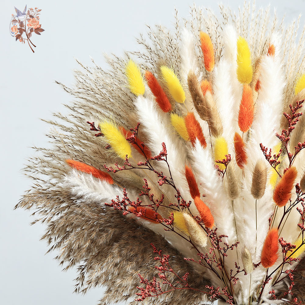 85 Pieces Natural Fluffy Autum - Dried Pampas Bundle 评论和价格