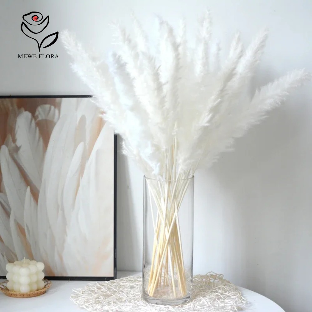 20pcs Fluffy Pampas Grass Reed - Dried Pampas Bundle 评论和价格