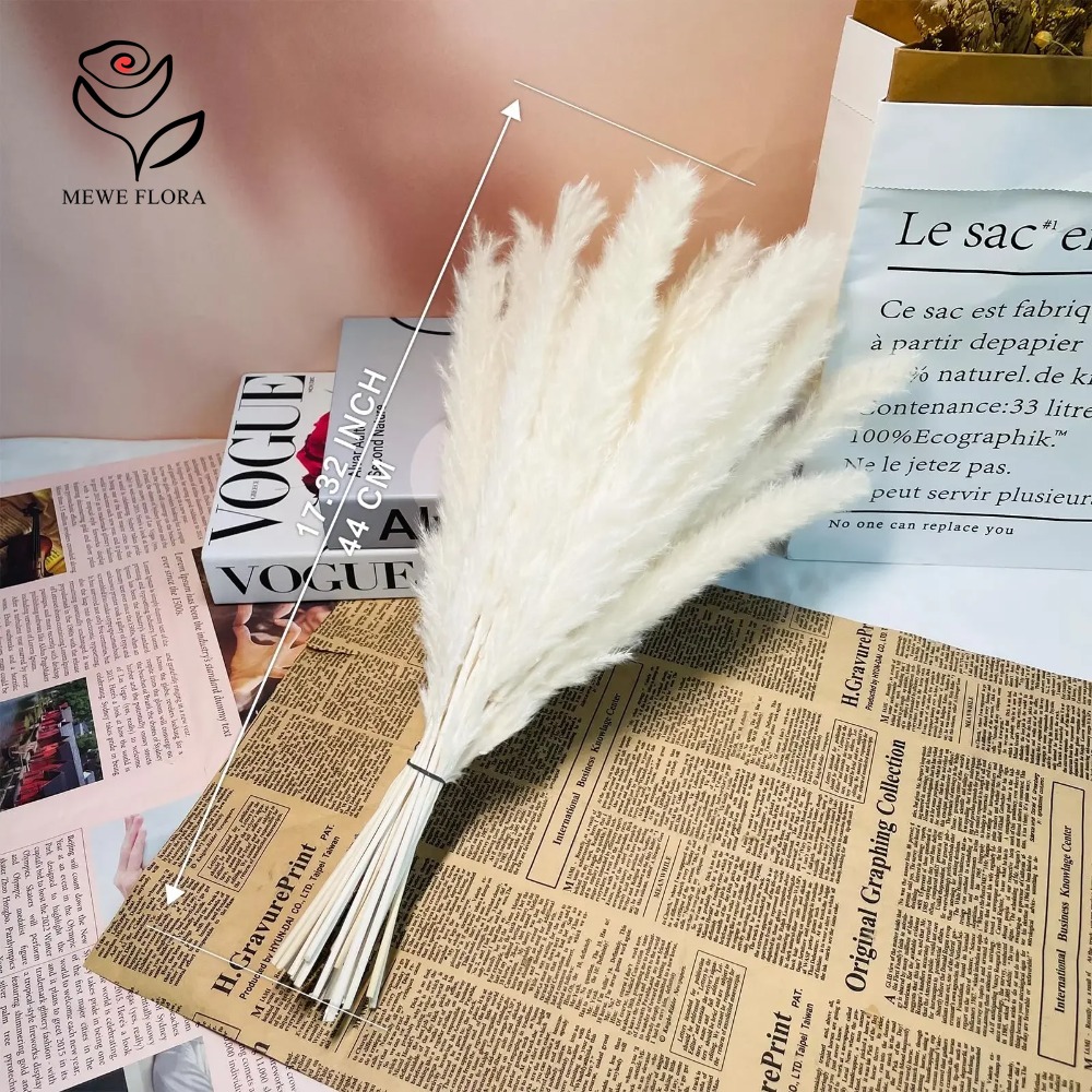 20pcs Fluffy Pampas Grass Reed - Dried Pampas Bundle 评论和价格