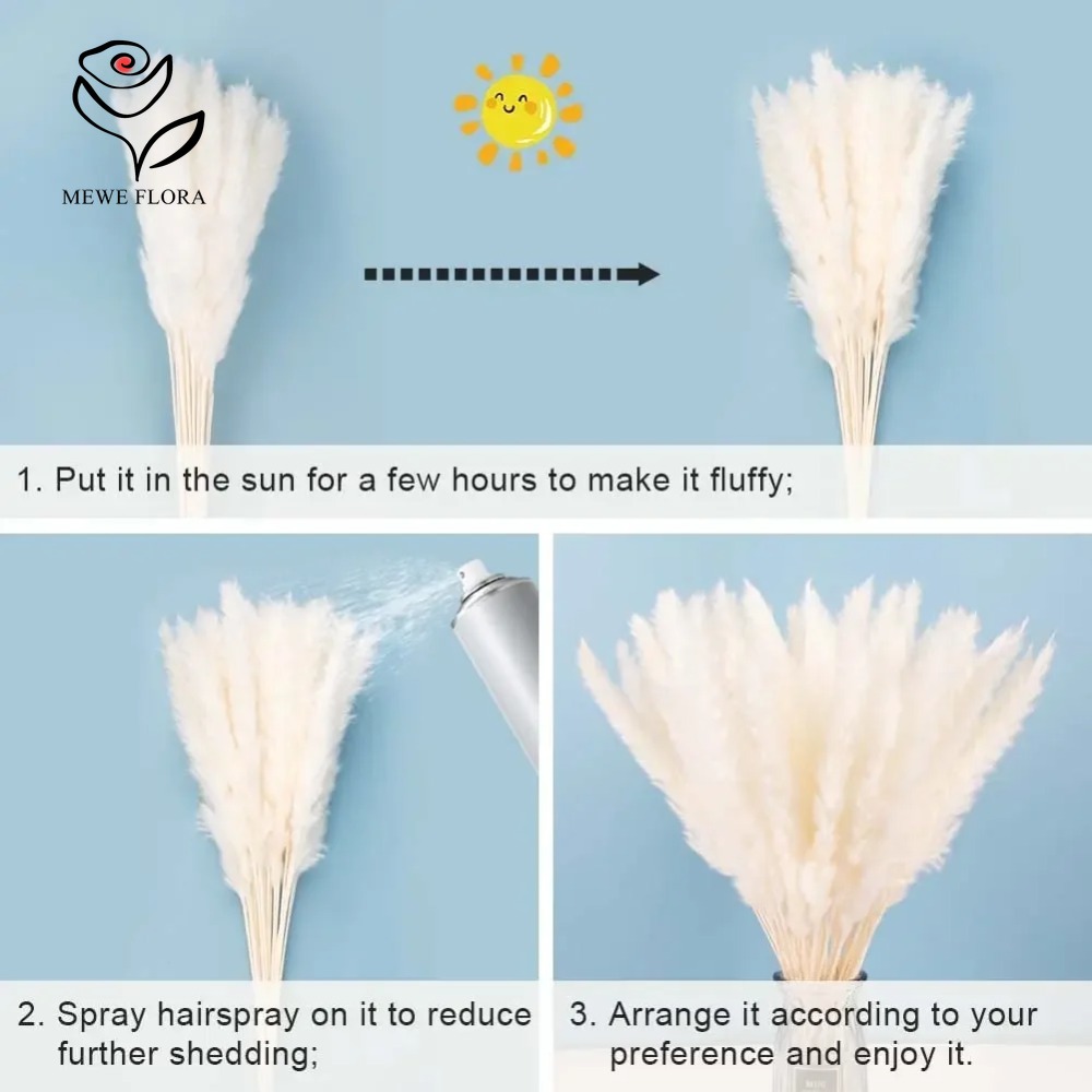 20pcs Fluffy Pampas Grass Reed - Dried Pampas Bundle 评论和价格