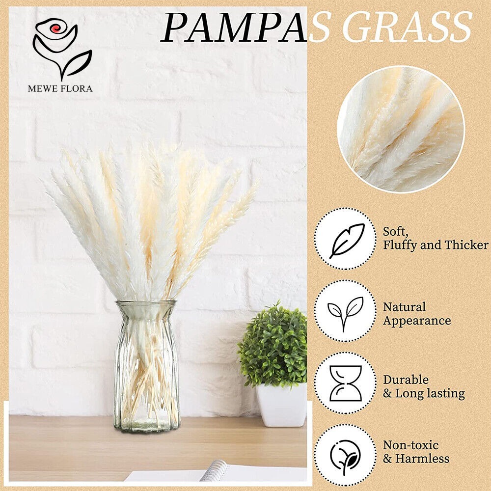 20pcs Fluffy Pampas Grass Reed - Dried Pampas Bundle 评论和价格