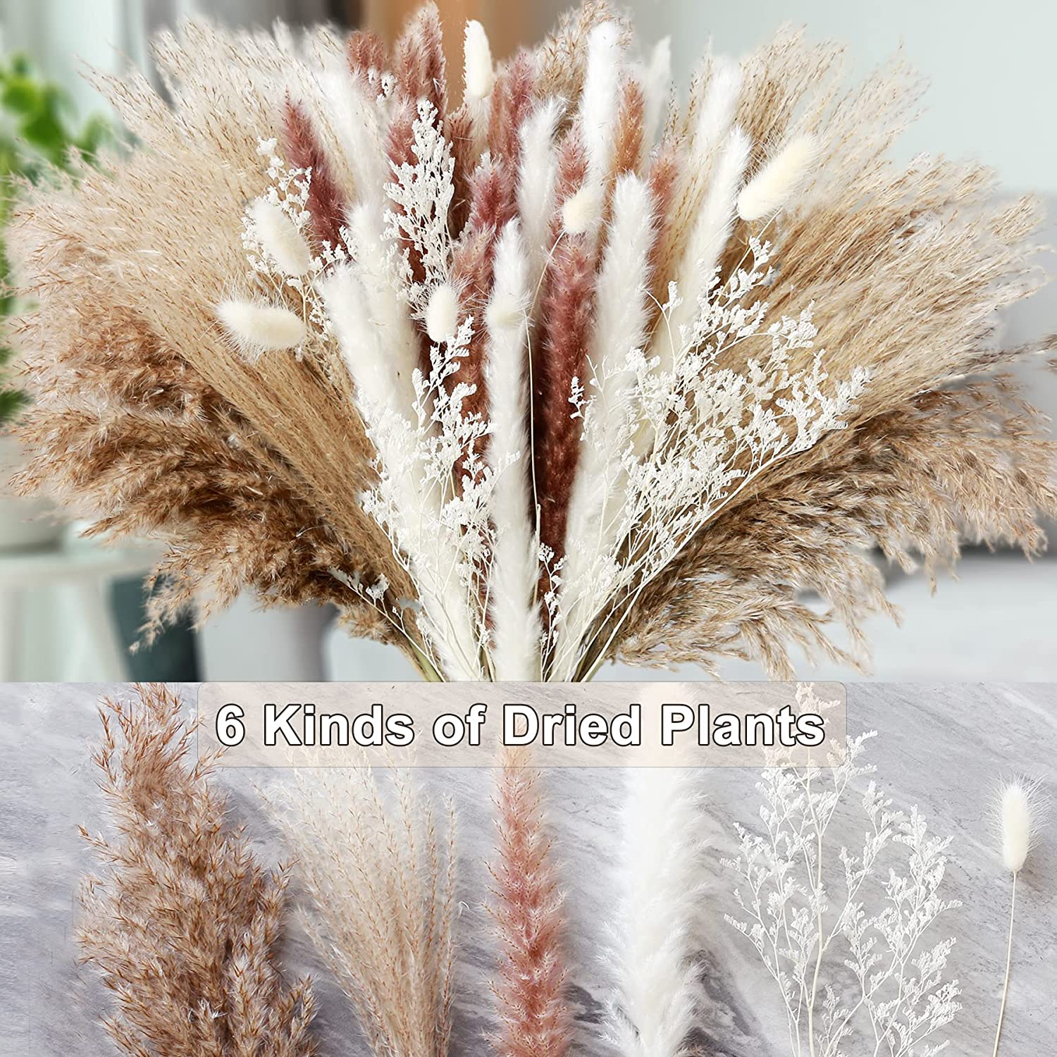 Home Table Decor Dried Plants  - Dried Pampas Bundle 评论和价格