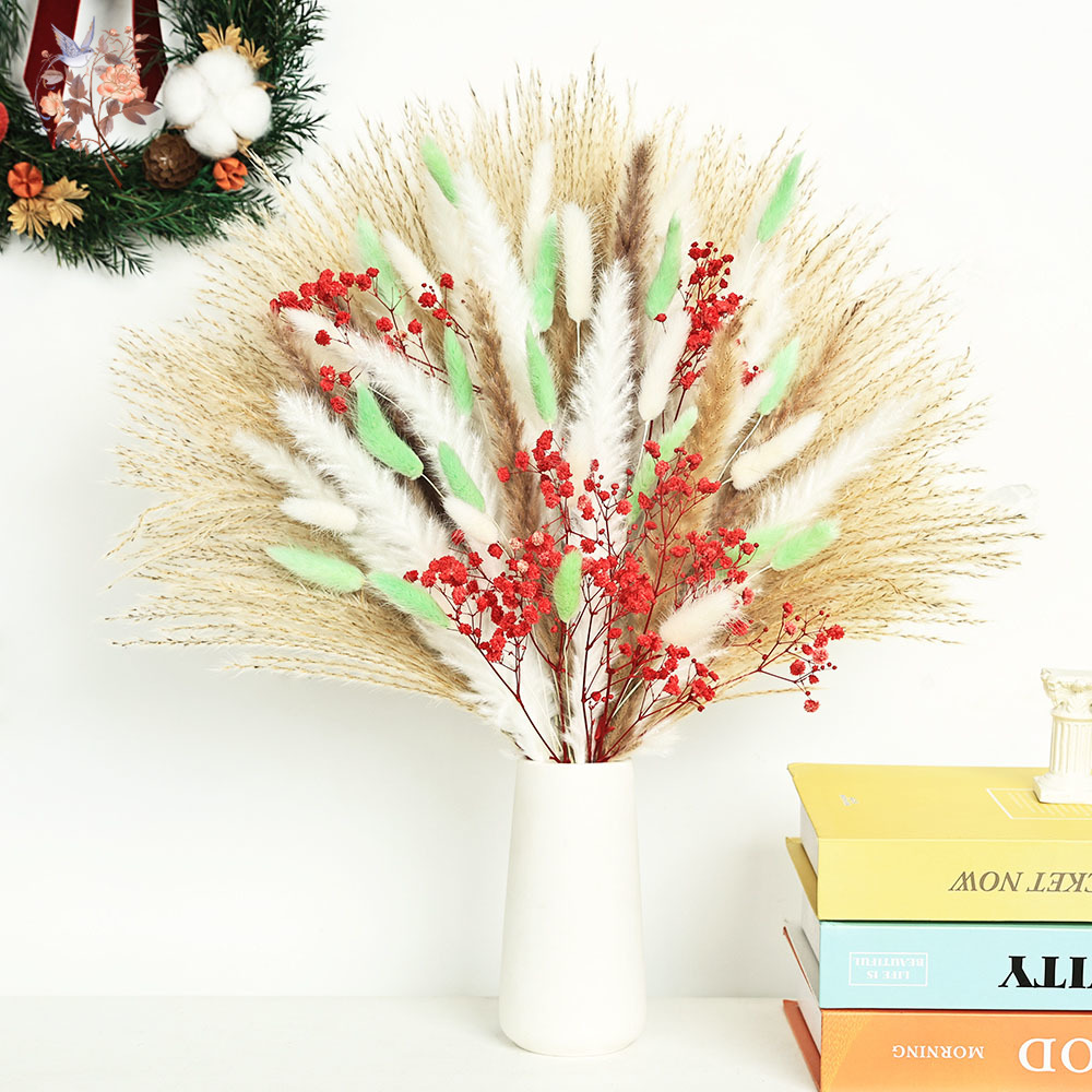 70 Stems Fluffy Green Red Pamp - Dried Pampas Bundle 评论和价格