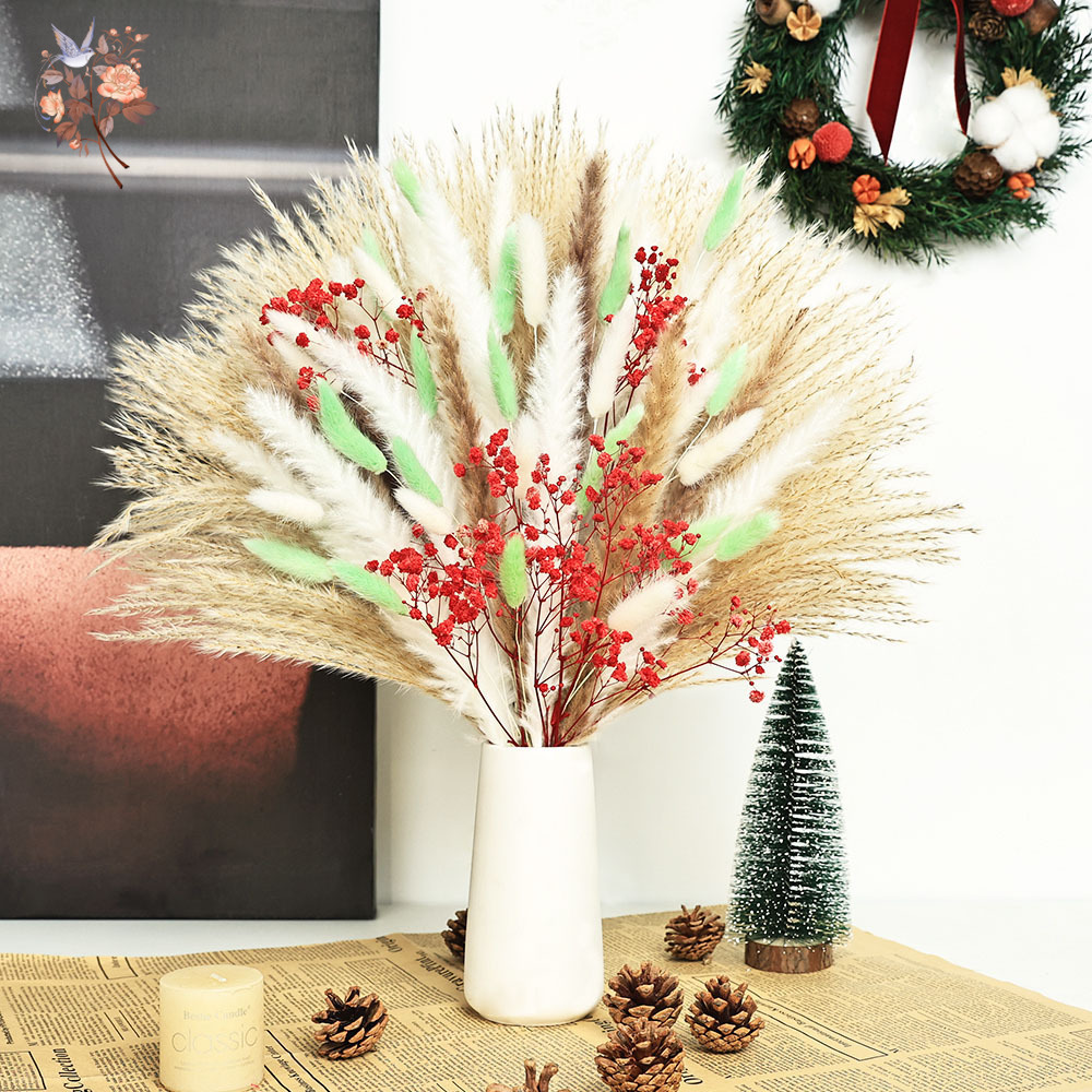 70 Stems Fluffy Green Red Pamp - Dried Pampas Bundle 评论和价格
