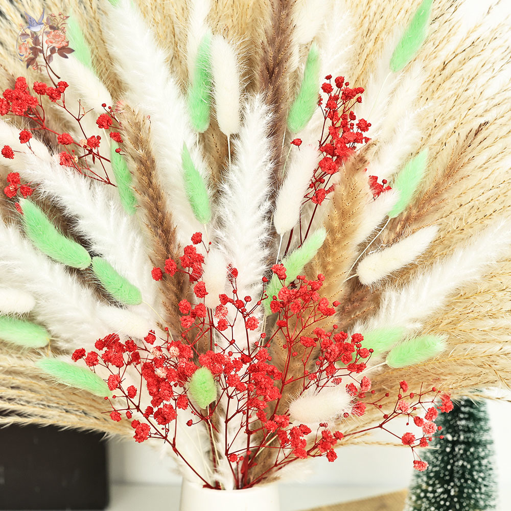 70 Stems Fluffy Green Red Pamp - Dried Pampas Bundle 评论和价格