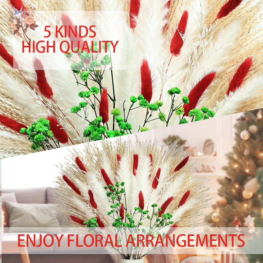 55pcs Dried Flowers Bouquet Ch - Dried Pampas Bundle 评论和价格