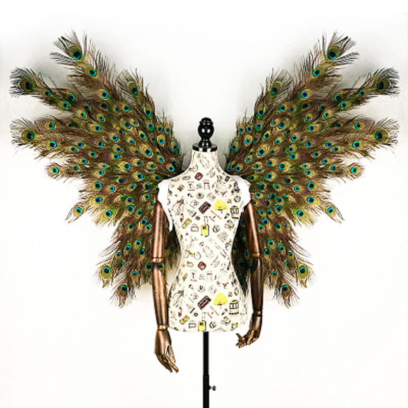 adult creative cosplay wing Pe - Interior Design Book 评论和价格