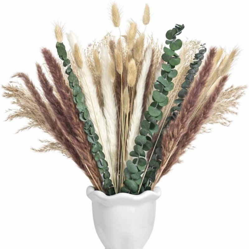 65Pcs DIY Natural Dried Flower - Dried Pampas Bundle 评论和价格