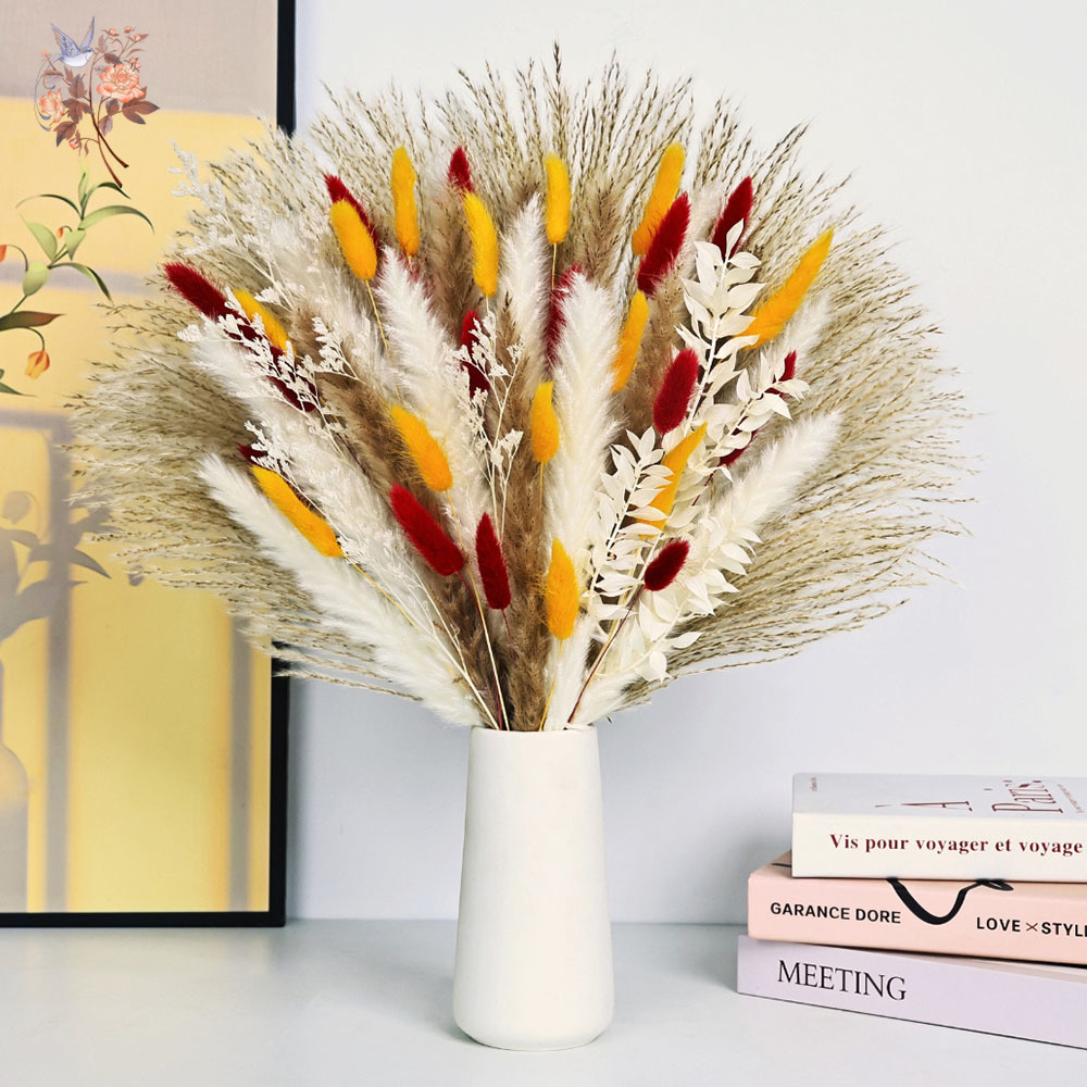70 Stems Natural Fluffy Pampas - Dried Pampas Bundle 评论和价格