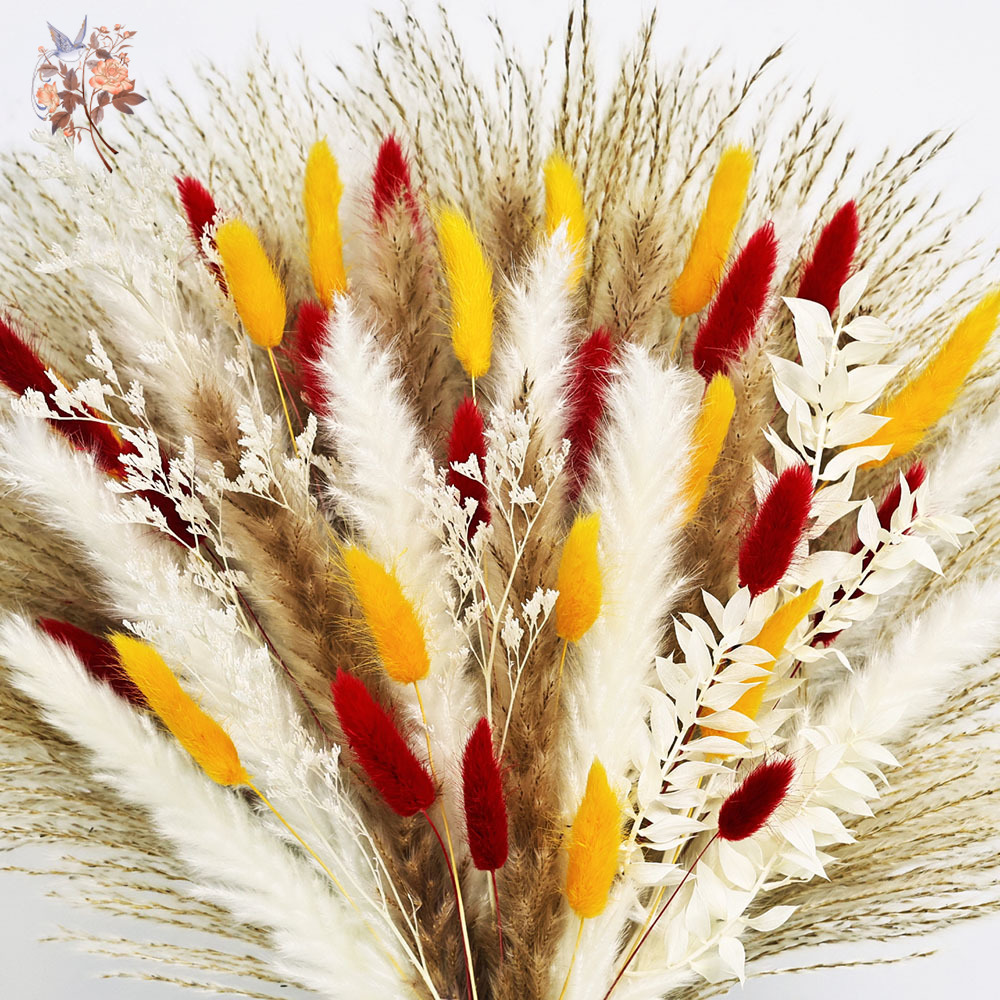 70 Stems Natural Fluffy Pampas - Dried Pampas Bundle 评论和价格