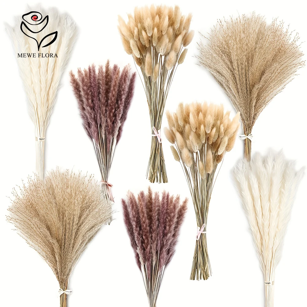 200Pcs Dried Pampas Bunny Tail - Dried Pampas Bundle 评论和价格