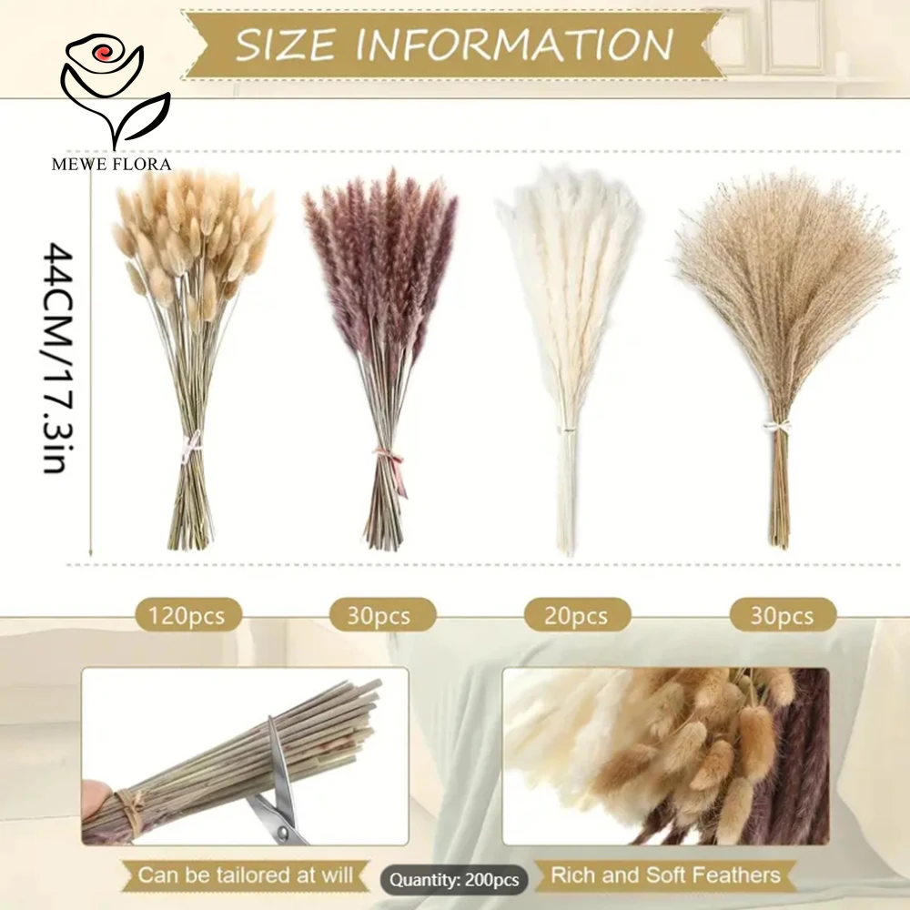 200Pcs Dried Pampas Bunny Tail - Dried Pampas Bundle 评论和价格