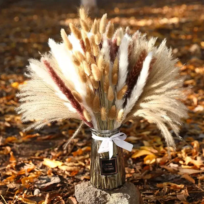 200Pcs Dried Pampas Bunny Tail - Dried Pampas Bundle 评论和价格